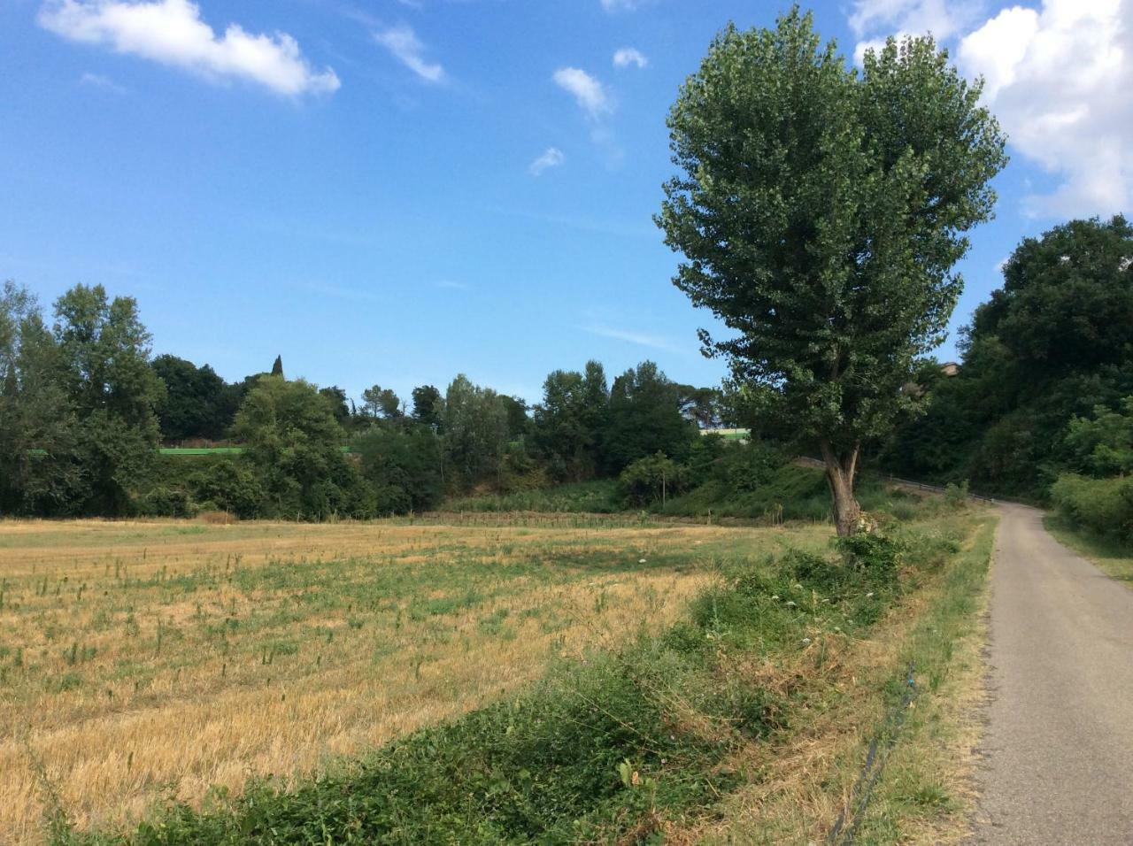 Agriturismo "La Fondazza" Villa Imola Bagian luar foto