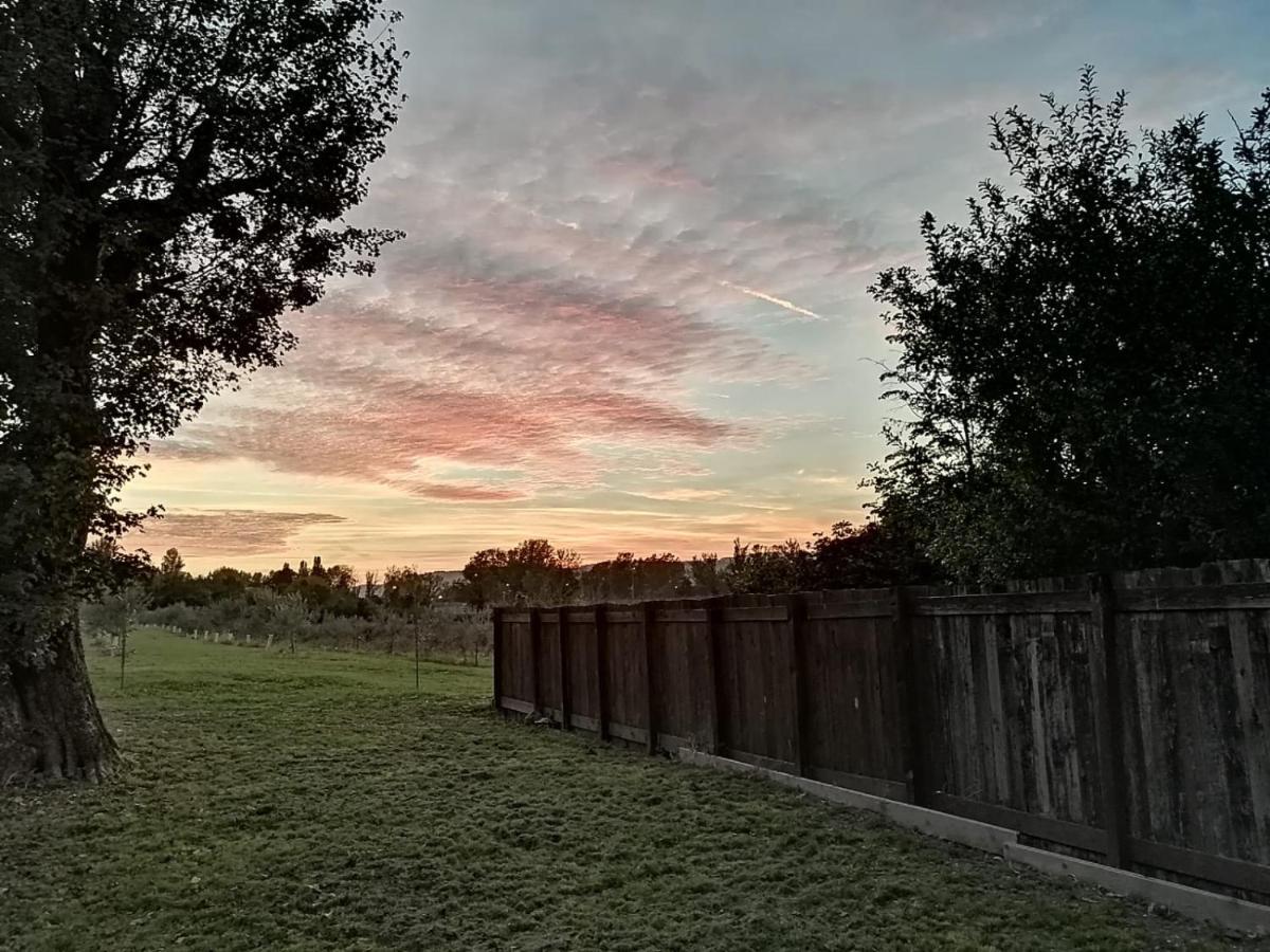 Agriturismo "La Fondazza" Villa Imola Bagian luar foto